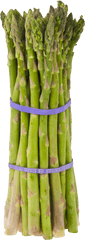 Download Asparagus Png Image For Free - Asparagus Meaning In Bengali