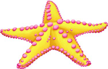 Starfish Clip Art Sea Image - Starfish Png Download 1280 Etoile De Mer Clipart