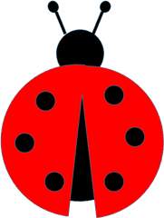 Download Ladybug Hq Png Image Freepngimg - Ladybug