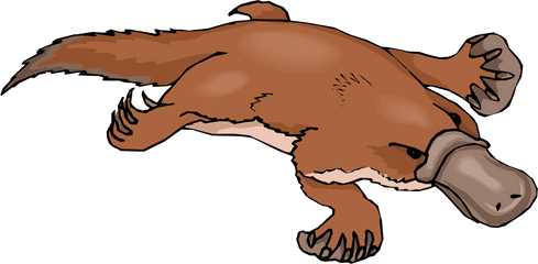 Free Clipart Clip Art Images Png Platypus