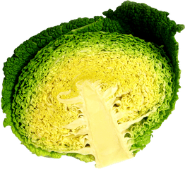 Cabbage Half Png Image - Vegetarian Cuisine