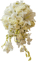 White Wedding Flowers Png Picture 634581 - Bouquet Wedding White Png Transparent