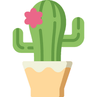 Tropical Photos Plant Cactus Vector - Free PNG