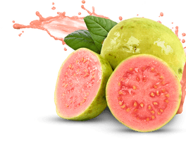 Guava Png Pic