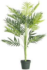 Tree Png Images Transparent Background Play - Indoor Palm Tree Png