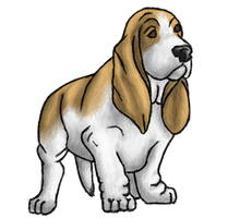 Basset Hound Transparent - Free PNG