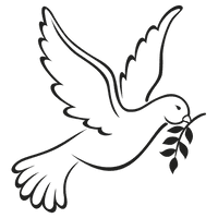Columbidae Peace Symbols As Beak White Doves - Free PNG