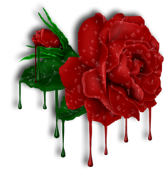 Red Roses And Drops With Transparent - Melting Rose Png