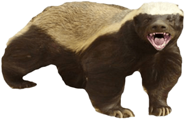 Honey Badger Background Png - Honey Badger Don T Care