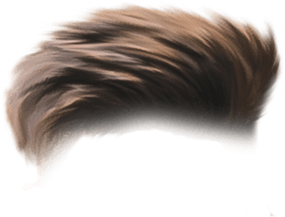 Hair Png Cb Brown - Hair Png Hd Download