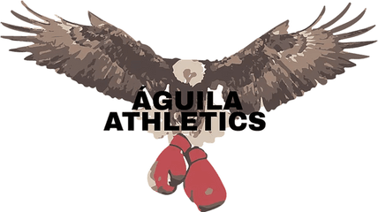 Boxing Aguila Athletics - Boxing Glove Png