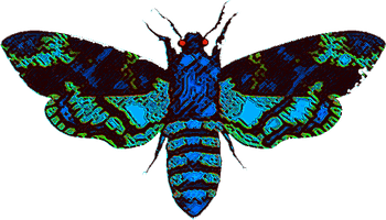 Moth Man Clipart - Free PNG