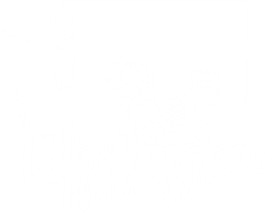 Washington Flowers Farm Fresh - Floral Png