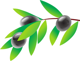 Black Olive Branch Drawing Free Image - Olive Cliparts Png