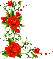 Rose Flower Border Free Download PNG HD