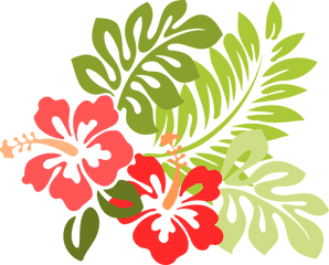 Hawaiian Flowers Png 3 Image - Clip Art Hibiscus