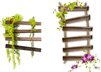 Download Flower Garden Hour Spooky Frame Bench Ladder Hq Png - Ladder