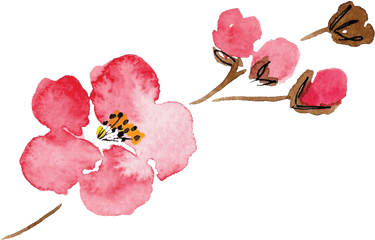 Download Luella Acres Flower Only - Pink Watercolor Flowers Png