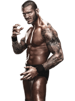 Randy Orton Picture - Free PNG