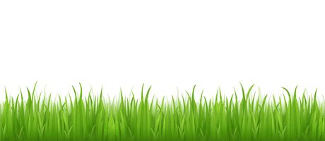 Vector Photos Grass Free Clipart HD - Free PNG