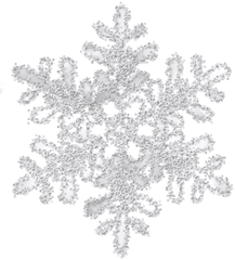 Gray White Snowflake Png Transparent 12 - Real Snowflake Png