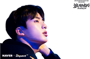 Download Hd Bts Jin And Kpop Image - Bts Naver X Dispatch Jin Love Yourself Her Png