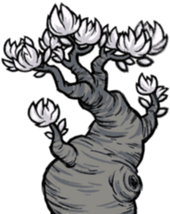 Lune Tree Donu0027t Starve Game Wiki Fandom - Dst Lunar Tree Png