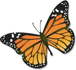 Clip Art Free Monarch Butterfly - Butterfly Clip Art Png