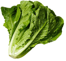 Clipart Spinach - Lettuce Png