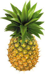 Fruit Png Transparent - Pineapple Png