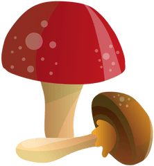 Transparent Png - Mushroom Vector Png
