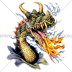 Fire Breathing Dragon Production Ready Artwork For T - Shirt Dragon Head Png