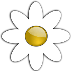 Flower Picture Free Download Cartoon Png