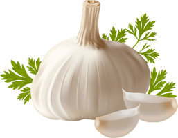 Garlic Png