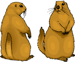 Groundhog Day Fur Seal Gopher For Carol - Free PNG