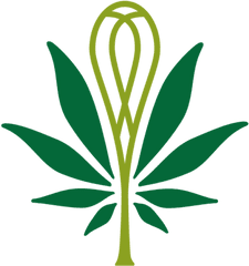 Decarboxylation - Laurie And Maryjane Png