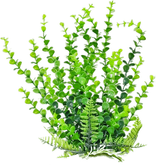 Plant Png Hd 6 Image - Transparent Aquatic Plants Png