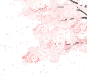 Image 215 - Cherry Blossom Tumblr Transparent Png