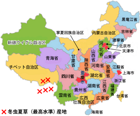 Intence Cordyceps Japanese - China Map With Major Cities Png