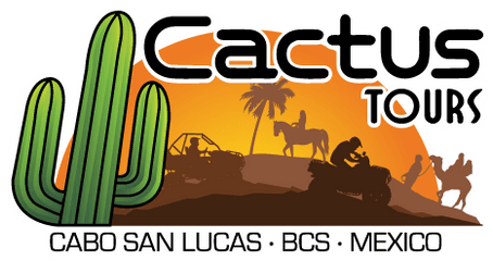 Cactus Tours - Cactus Atv Png