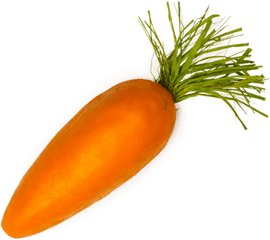 Carrot Transparent Background - Single Carrot Png