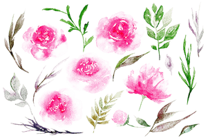 Peony Image - Free PNG