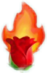 Rose Fire Tumblr Aesthetic Aestheticred Red Emojis - Tulip Png