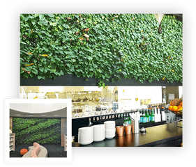 Living Walls Moss Art Artificial - Backyard Png