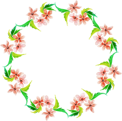 Free Png Watercolor Floral Wreath - Konfest