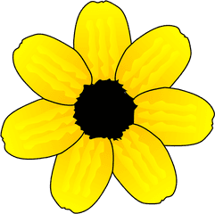 Flower Clipart With Transparent - Clip Art Png