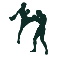 Taekwondo Silhouette Fighting HD Image Free - Free PNG