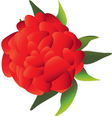 Mexican Flower Clipart Png Flowers