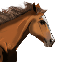 Horse Png Image