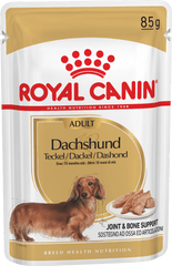 Dachshund Wet - Royal Canin Png